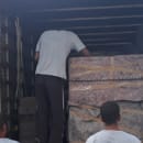 Carregamento para Mudança em Nova Aliança